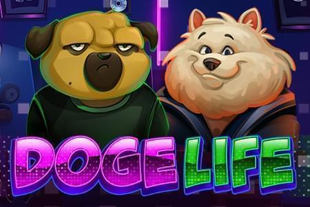 Doge life Doge life
