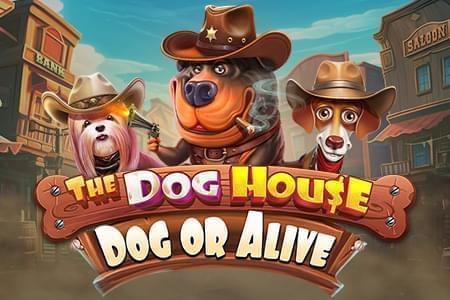 The dog house dog or alive The dog house dog or alive